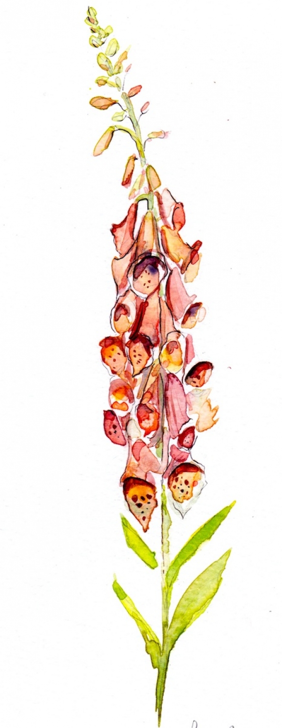 Wedding Flowers Cornwall 9